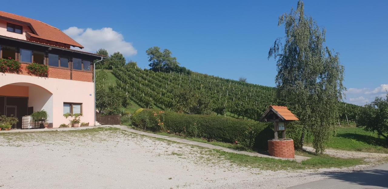 Klet Jana Bed and Breakfast Jastrebarsko Eksteriør billede